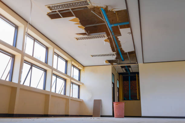 Best Flooded house restoration  in Richfield, MN