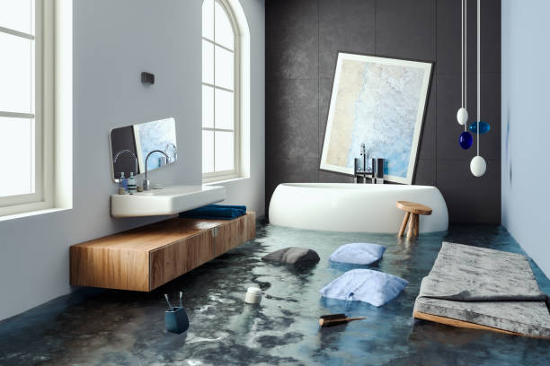 Best Mold removal after water damage  in Richfield, MN