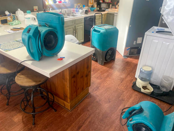 Best Ceiling water damage repair  in Richfield, MN