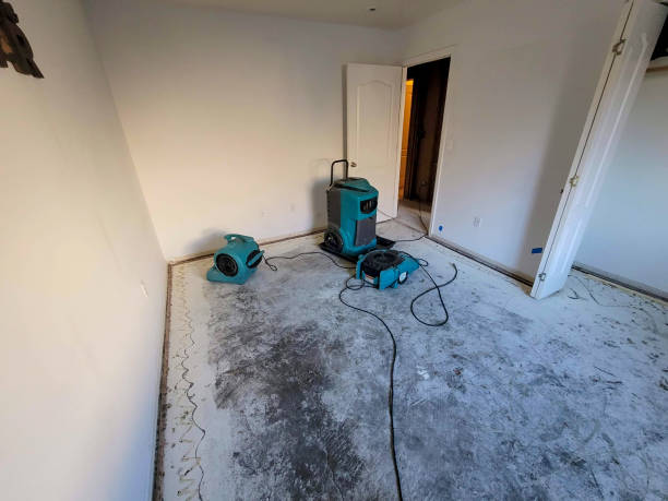 Best Commercial water damage restoration  in Richfield, MN