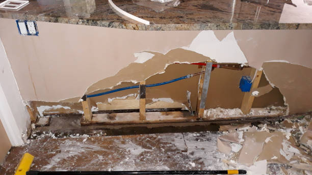 Best Professional water damage repair  in Richfield, MN