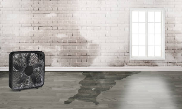 Best Water damage restoration near me  in Richfield, MN