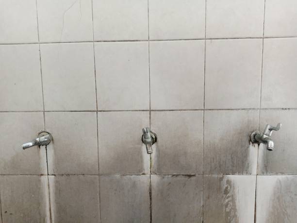 Best Water damage restoration services  in Richfield, MN