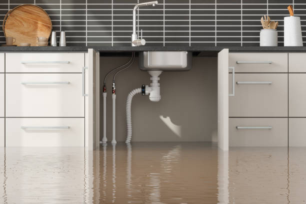 Best Water damage cleanup near me  in Richfield, MN