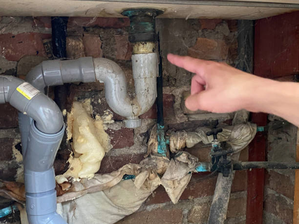 Best Water damage restoration specialists  in Richfield, MN