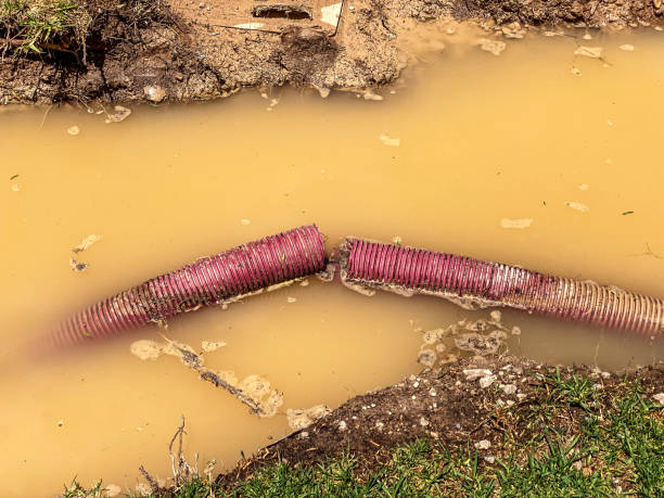 Best Water damage restoration near me  in Richfield, MN