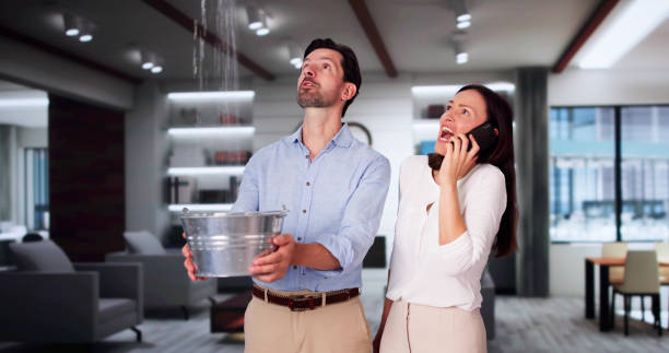 Best 24-hour water damage restoration  in Richfield, MN